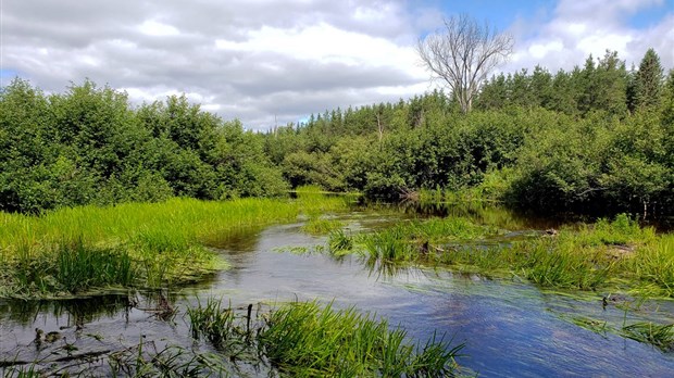 Développement et environnement : un forum régional pour consulter la population 