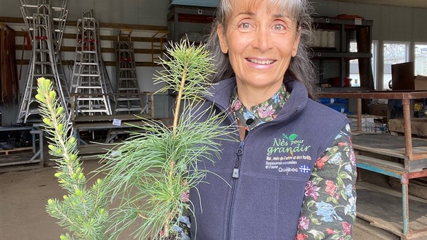 Marie-Louise Tardif souhaite honorer la mémoire des victimes de la pandémie 