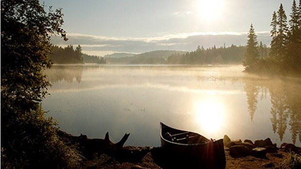 Les consultations publiques Rêvez votre parc national de la Mauricie débutent