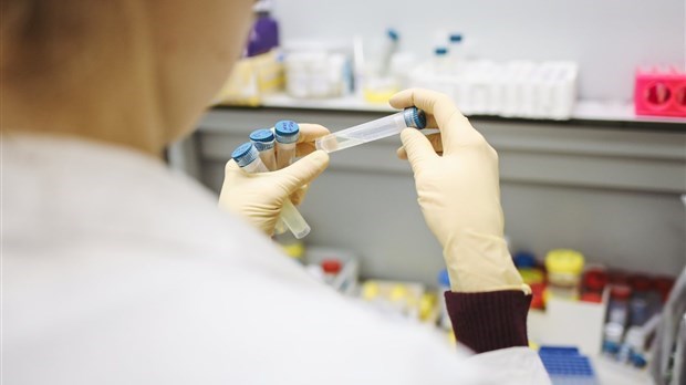 Un retour la normale après la panne informatique dans les laboratoires