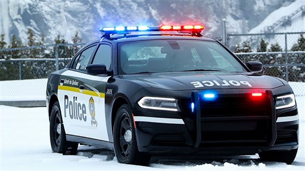 11 armes prohibées saisies à Sainte-Ursule
