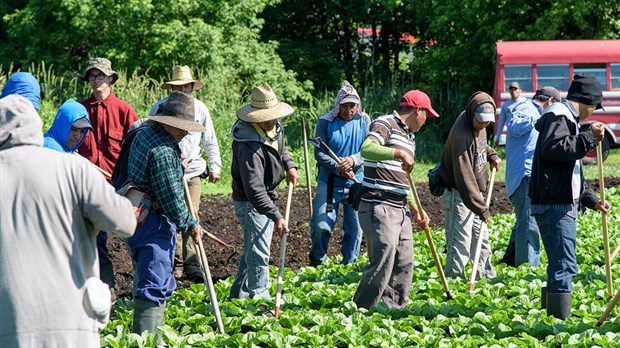 L’immigration contribue pour près de 10 % de la croissance démographique