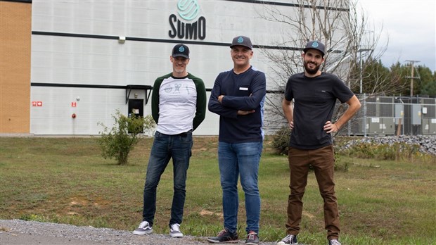 SUMO Cannabis obtient sa licence de production