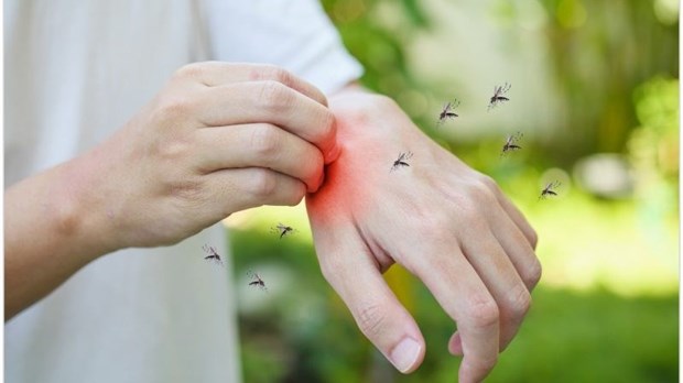 Le programme de contrôle des insectes piqueurs commencera à la mi-avril