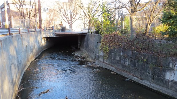 Création du Rés’EAU Mauricie pour surveiller les enjeux sur l'eau