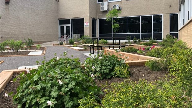 Inauguration de la cour verte pour une école en santé