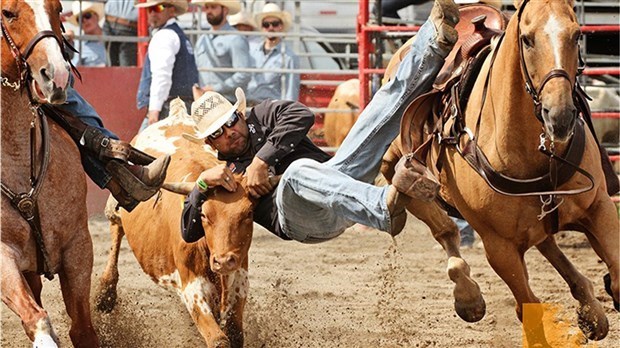 Le Festival Western de Saint-Tite offre rodéos et activités gratuitess