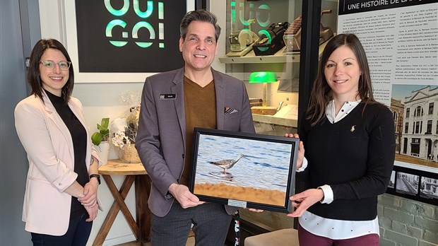 Quatre entreprises trifluviennes reconnues pour leurs efforts en développement durable