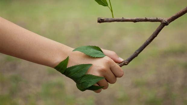 Des élèves du primaire et du secondaire plantent des arbres ensemble