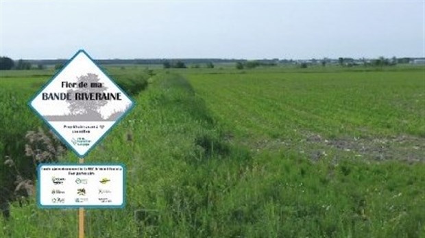 Nicolet-Yamaska fera respecter la protection des bandes riveraines