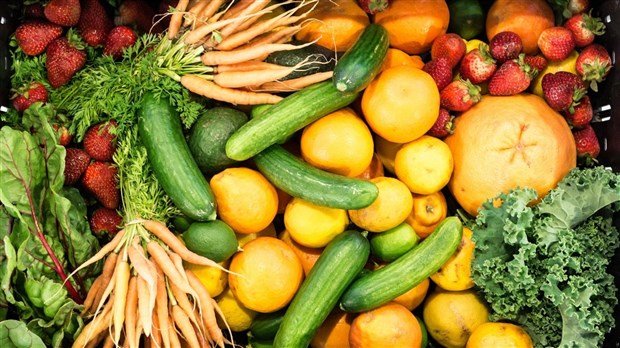 Les Récoltes à partager font leur grand retour à Trois-Rivières