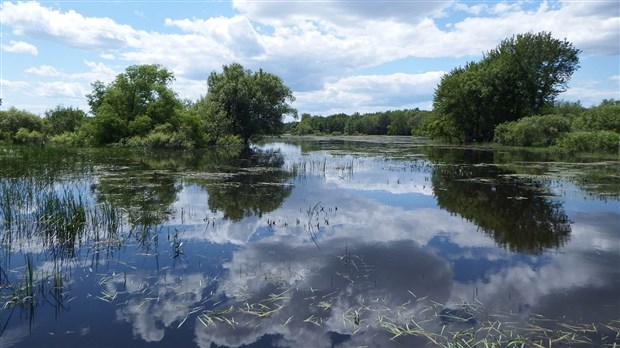 Nouvelle parution de «La Brise du Lac» pour le Comité ZIP du lac Saint-Pierre