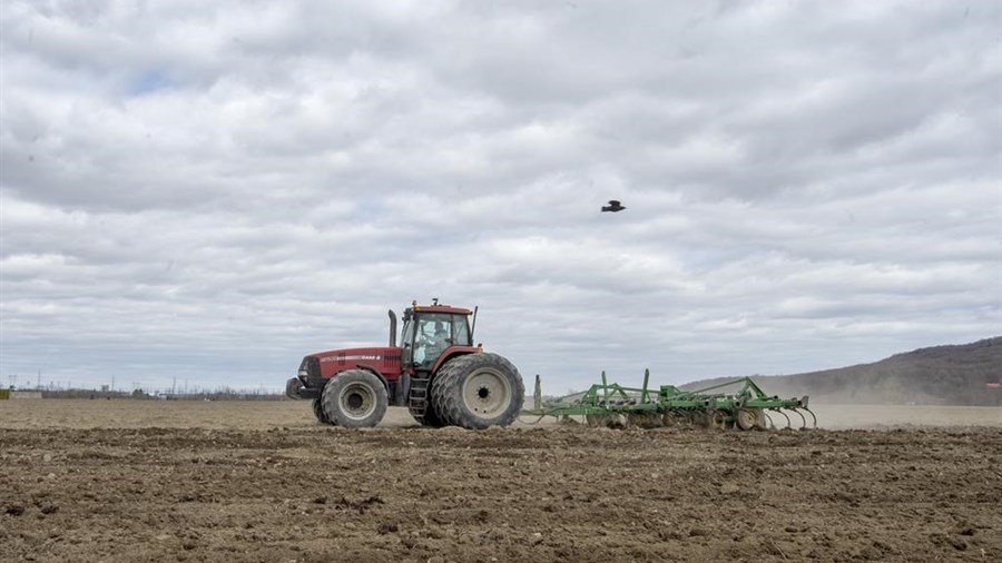 Devant les champs asséchés, le milieu agricole s'inquiète du manque de pluie