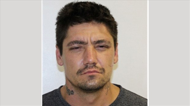 Voies de fait : Arrestation d'Alexandre Lamarre Coulombe