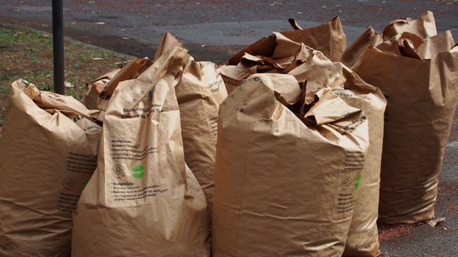 Collecte spéciale de feuilles mortes et de résidus verts à Shawinigan
