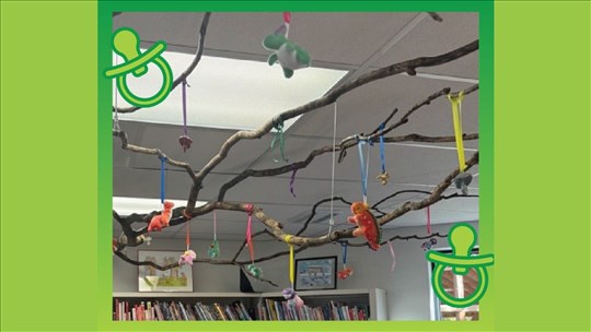 Aménagement d’un arbre à suces à la bibliothèque centrale de Bécancour