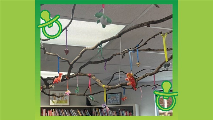 Aménagement d’un arbre à suces à la bibliothèque centrale de Bécancour