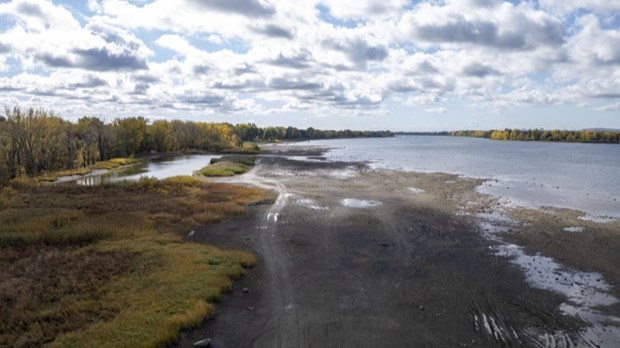 Bilan 2025: l'environnement est «sacrifié» par Québec et Ottawa