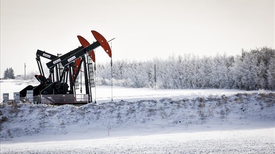 Environnement: 2025 a été l'année des reculs