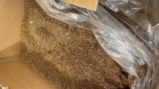 Tabac illégal à Trois-Rivières : trois perquisitions à Louiseville