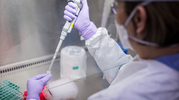 Des syndicats inquiets que le titre de techniciennes en laboratoire soit aboli