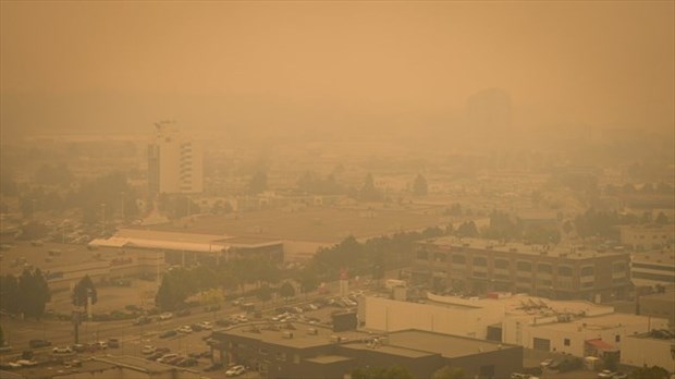 La fumée des feux de 2023 a fait plus de 80 000 morts dans le monde