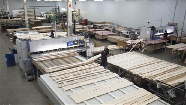 Les fabricants réclament des droits de douane sur les importations de bois
