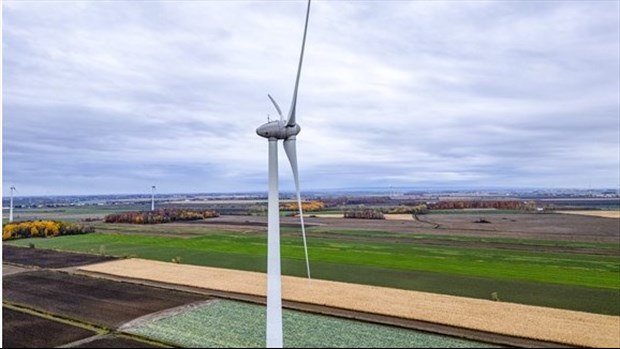 Éoliennes: le gouvernement «fait beaucoup d'efforts» pour réduire les délais