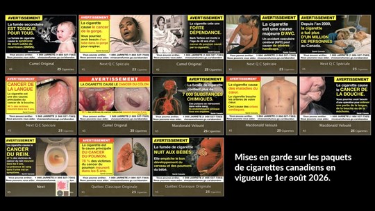 Des anticorps pourraient inhiber la lutte contre le cancer